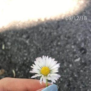 Meet your Posher, Vickie